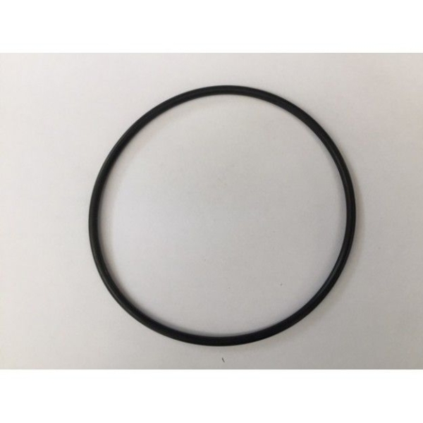 O-Ring zu Laubfang-Vorfilter